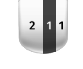 2:1:1
